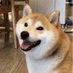 Infinite_sub (@inf_shiba_sub) Twitter profile photo Infinite_sub (@inf_shiba_sub) Twitter profile photo