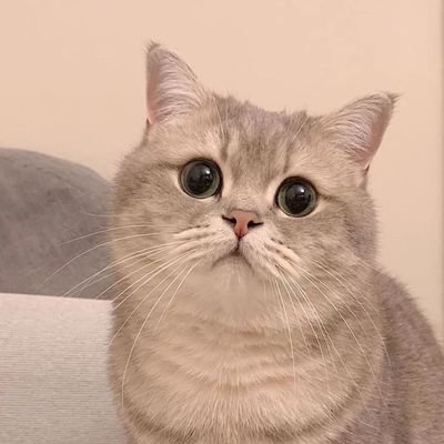 emsr2009's profile picture. 