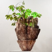Galerie Houkami (@ghoukami) 's Twitter Profile
