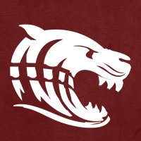 DawsonTigers_Athletics (@dchssportz) 's Twitter Profile