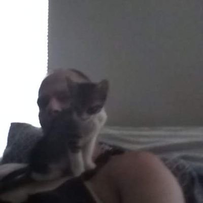 Married, Science Nerd, Spiritual Seeker, Liberal, Animal Lover, I take care of many homeless cats. Feel free to DM.