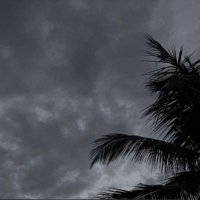 @fm🤍✨. (@mwsy_fayzh6622) Twitter profile photo