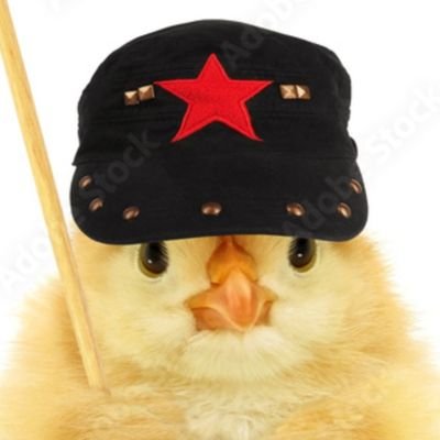 linkywinky101's profile picture. 🌱