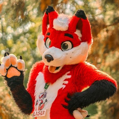 Editor and Animator 🎞 / Pianist🎹 / Voice actor🎙 / Suiter🦊