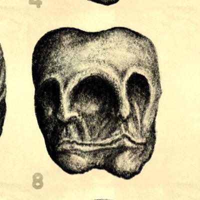 3003vvincnt's profile picture. crabs in a bucket & kimchi