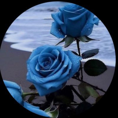 austiralia's profile picture. 📊📚