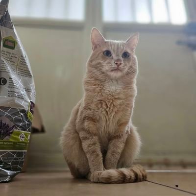 jisl4's profile picture. La vida sin música, no es vida