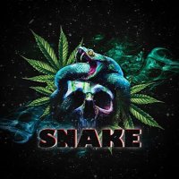 🐍Snake🐍 (@snake_08420) Twitter profile photo