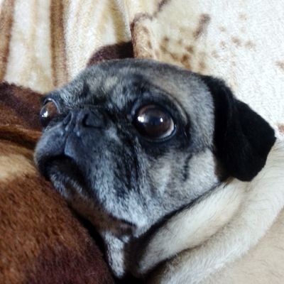 NicelyB_1994's profile picture. 