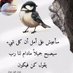 عدي (@dy6500185447985) Twitter profile photo عدي (@dy6500185447985) Twitter profile photo
