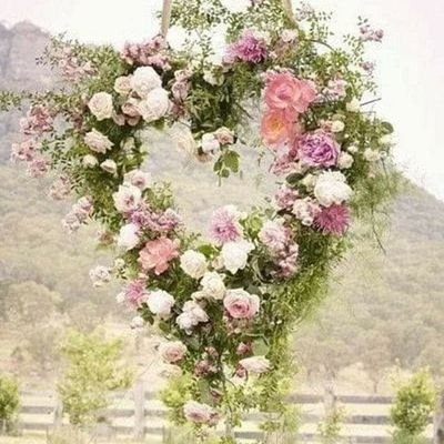 CharmyLydia's profile picture. un peu de tout et surtout les animaux🐒🐴🦊🐕🐈🐢💞🙏