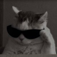 hilal (@hiiolice) Twitter profile photo