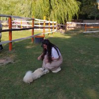 Sozdar Tekin (@sozz_tekin) 's Twitter Profile
