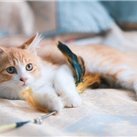 副業で安定した収入を得る方法を共有中。副業を始めたい人にお得な情報をお届け。僅かですが現金配布企画も実施中♫ 支援中▶ https://t.co/eUPHrvbYvI