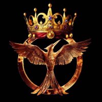SINSAJO IMPERIAL F.C (@sinsajoimperial) 's Twitter Profile