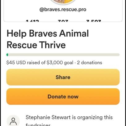 BrevoDog's profile picture. Together we can create a wonderful world 🌍 where no dog is left behind choose kindness ♥️🙏