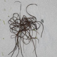 Judith Jesch (@judithjesch) 's Twitter Profile Photo Judith Jesch (@judithjesch) 's Twitter Profile Photo