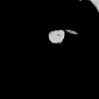 leka (@ittsleka07) 's Twitter Profile