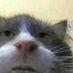 nemikszde (@notfabio14) Twitter profile photo