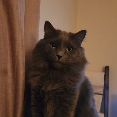 sar_rho's profile picture. 