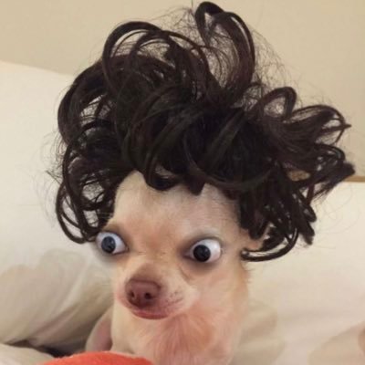 brown_cocoxo's profile picture. Hi I’m Sophia you’re on my page 😌.. lol… now you gotta follow me😊🤭