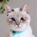 ããåðº (@kenta_bonbon) Twitter profile photo ããåðº (@kenta_bonbon) Twitter profile photo
