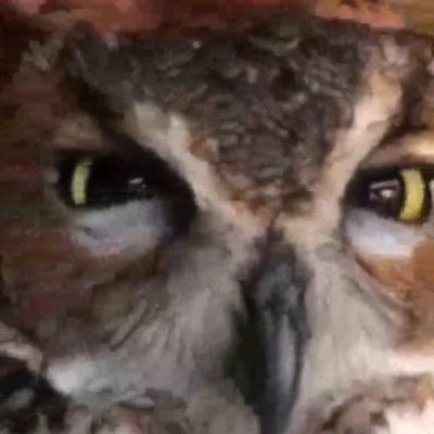 DePaFaLi's profile picture. 
