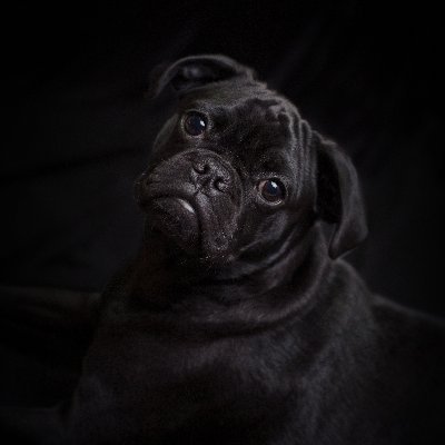 Alternate account for 204girl0574. Unapologetically opinionated and a true smart ass. Sarcasm is my mother tongue. Find me at https://t.co/tZ7LUKo2aB.