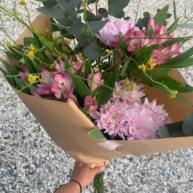 AnaT05668904's profile picture. 