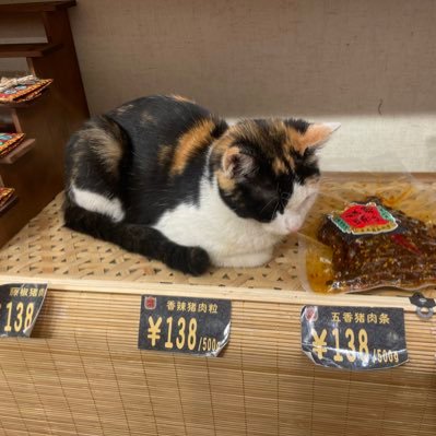 pangdi36474's profile picture. 坚强中