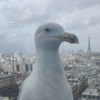 Nobody (@aiphaomegabeta) 's Twitter Profile