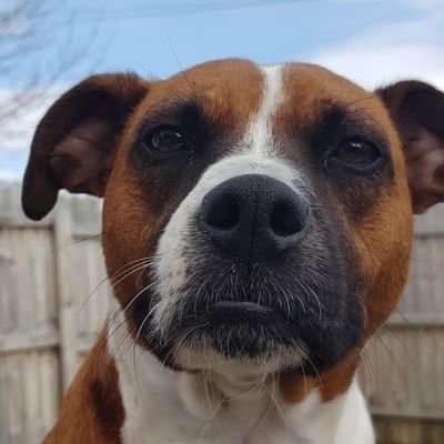kimmieandrichie's profile picture. 