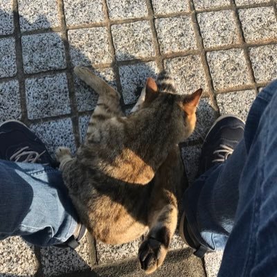 bastar0807's profile picture. ゲームしたりアニメを観るのが好きです。 最近はポケモンカードやワンピースカードなどにハマっていますので気軽に絡んで下さいね (っ ॑꒳ ॑c)