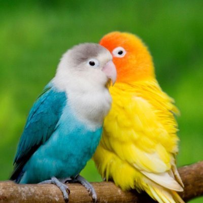 PaulSwa55798331's profile picture. 