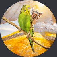 Rehan (@rehanfn_) 's Twitter Profile