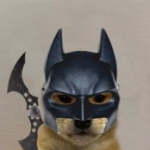 ColonelVladimir's profile picture. You may have come from my Roblox account