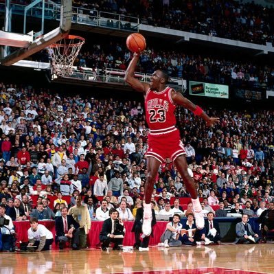 skybous's profile picture. 