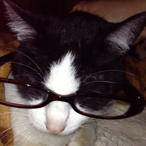 havana9416's profile picture. 