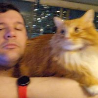 reviews de abarrotes y confites (@matiasrivera) 's Twitter Profile Photo