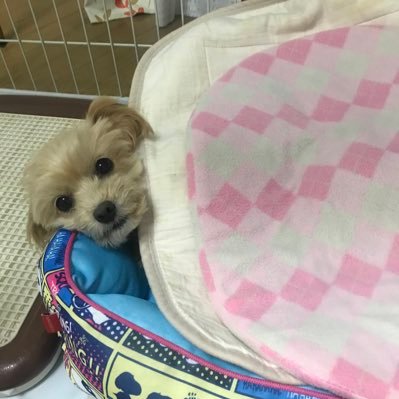 JFDXCU944JE7qAR's profile picture. ラフにいこ🫠釣り🎣 お酒🥃 ドライブ🛣️