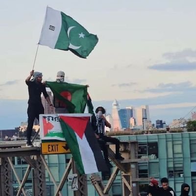 SalmanAkhtarPk's profile picture. Imran khan KeyBoard Warrior.
🇵🇰 Fight Like a Cornered Tiger, Don't Think About Win Or Lose.