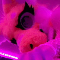 Lemo~ π FWA ($5 Fansly) (@lemoshark_ad) 's Twitter Profile Photo Lemo~ π FWA ($5 Fansly) (@lemoshark_ad) 's Twitter Profile Photo