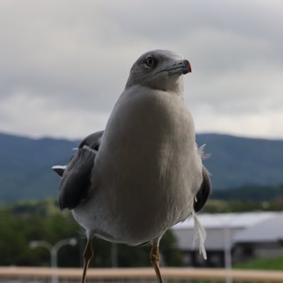 ueueueuen's profile picture. 