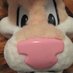 the-mascot-collector (@collectormascot) Twitter profile photo the-mascot-collector (@collectormascot) Twitter profile photo