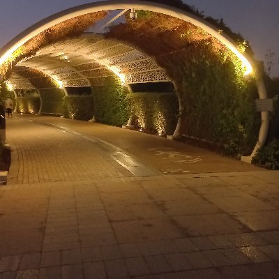 am only human after all , اللهم صلي وسلم على الحبيب المصطفى