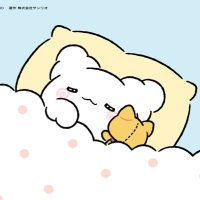 取引 (@trhk_panda_) 's Twitter Profile