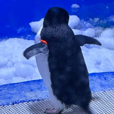 Tmyunggeum's profile picture. .