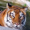 Indo39_Koucha's profile picture. インド映画をゆるゆると
🔥タラクさんのRRR日本語吹替待ってます🌊デーヴァラ🌊🦈