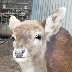 taaaaaa0314's profile picture. 22B機械系/G党