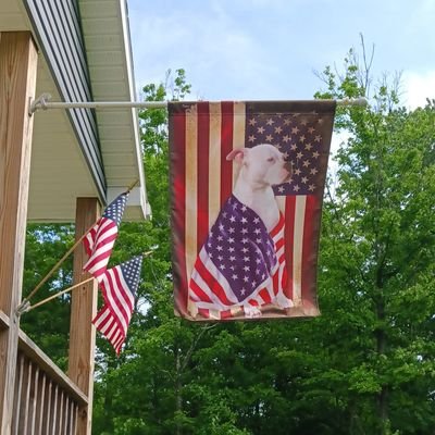 Married-Mom to Julie The Rescue Pup
No DM's unless you
are President Trump